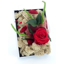 tableau floral rose rouge stabilisée