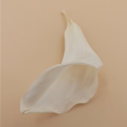 CALLA STABILISE