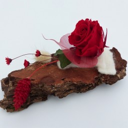 écorce florale, pour une décoration unique et naturelle