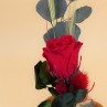 composition florale saint valentin rose rouge