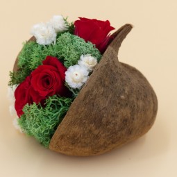 NOIX DE BOUDDHA FLORALE